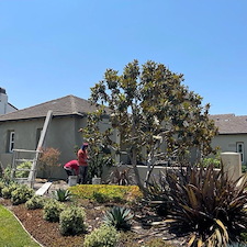 custom-re-stucco-in-fairbanks-ranch-ca 21