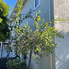 santa-barbara-stucco-installation-in-encinitas-ca 24